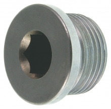 Alllen Başlı Tapa Cıvatası